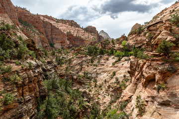 View from the Canyon Overlook Trail in Zion National Park, Utah