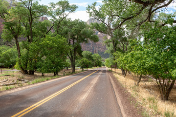 Fototapeta na wymiar Road through Zion National Park, Utah