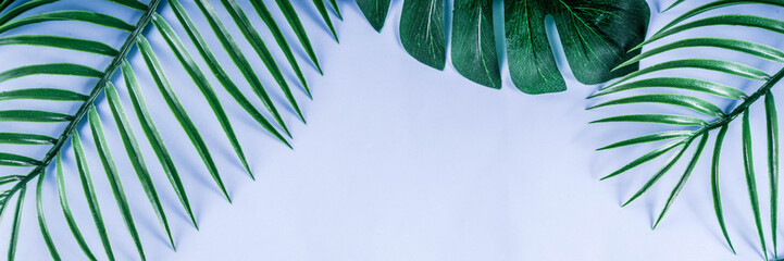 Tropical background. Palm and monstera leaves on yellow blue  background. Flatlay, top view, minimal layout, summer concept