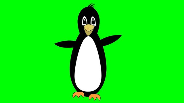 Penguin funny mascot cartoon dancing on green screen, animated bird face, cute eye movements, 4k animation
