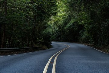 Empty curved summer road with forest beside