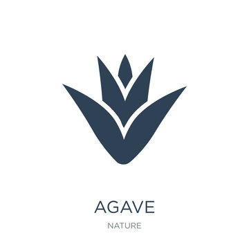 agave icon vector on white background, agave trendy filled icons