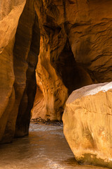 The Narrows in Zion National Park, Utah