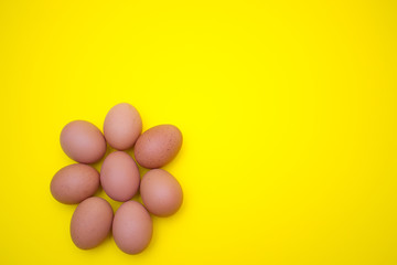 Obraz premium Egg, Eggs on a yellow background. Egg tray