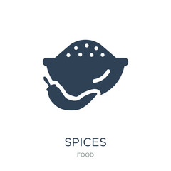 spices icon vector on white background, spices trendy filled ico