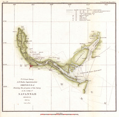 1854, U.S. Coast Survey Chart or Map of the Savannah River ans Savannah, Georgia