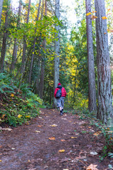 Obraz premium Man with backpack walks along the autumn forest path breathing fresh healthy air