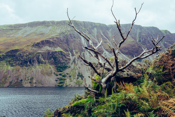 Wastwater in the Lake District