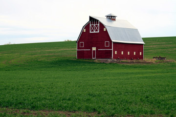 Fototapeta na wymiar A Red Barn in the wheat field of the Palouse, Washington State, USA