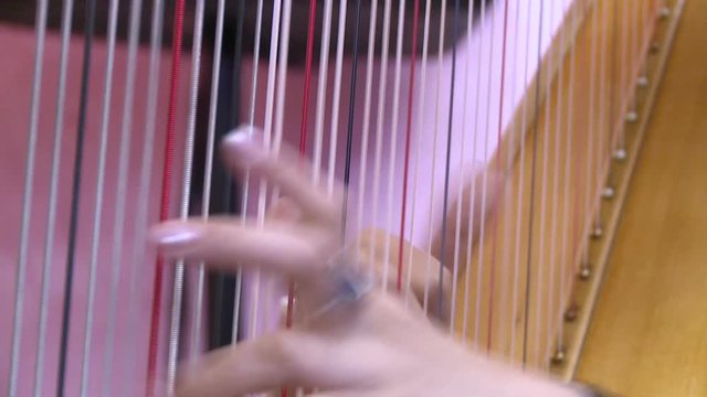 The girl plays the harp during the concert