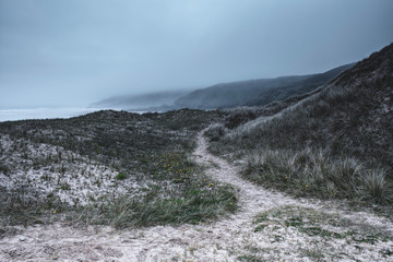 Misty morning on sand dunes.Fog over british coastal path with cliffs in background.Beautiful and moody landscape image with copy space.