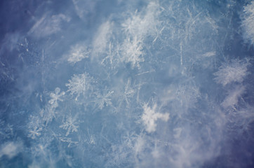 Snowflakes close-up. soft focus macro photo. crystal clear ice. winter. shallow depth of field....