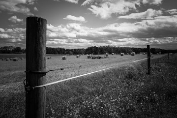 Black and white of a fence by a freshly cut winter wheat field with bales of straw scattered on the land. Raleigh, North Carolina.