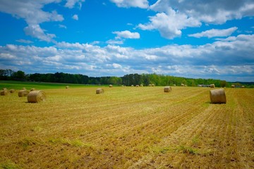 A scenic view of a freshly cut winter wheat field with bales of straw scattered on the land under...