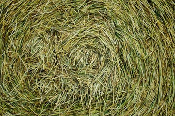 Close up of the center of a round hay bale, revealing the natural texture in a swirly pattern.