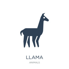 llama icon vector on white background, llama trendy filled icons