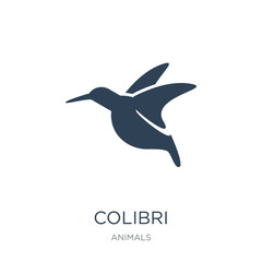 colibri icon vector on white background, colibri trendy filled i