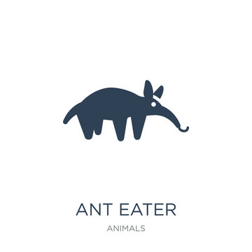 ant eater icon vector on white background, ant eater trendy fill
