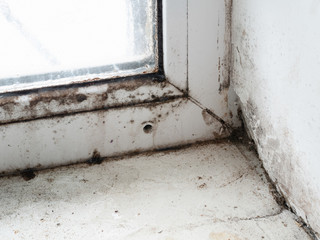 closeup corner of window frame with mold fungus and crumbling wall full of moisture as result of...