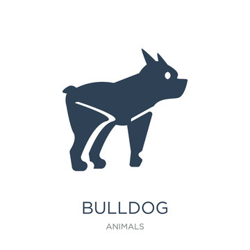 bulldog icon vector on white background, bulldog trendy filled i