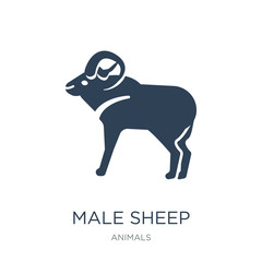 male sheep icon vector on white background, male sheep trendy fi