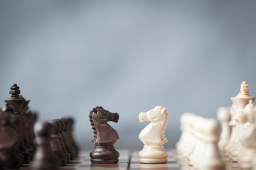 Chess pieces knights facing each other for a standoff on chessboard with blurred background. Chess knights confronting each other. Chess knights head to head.  - obrazy, fototapety, plakaty