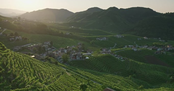 drone sulle colline del Prosecco, vigneti