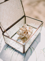Wedding rings in glass box. Wedding ceremony.