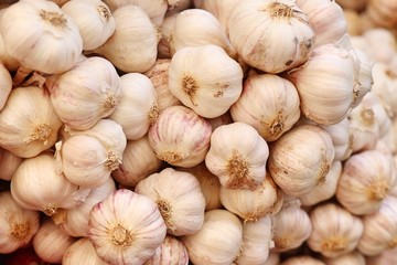 garlic at the market