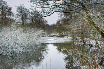 Winter landscape.Forest lake with patches of ice and trees dusted with snow reflecting in calm water.