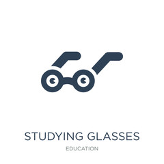 studying glasses icon vector on white background, studying glass