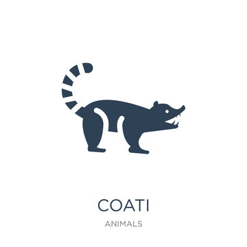coati icon vector on white background, coati trendy filled icons