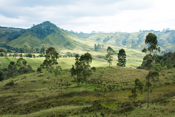 Fototapeta na wymiar Naturaleza Colombiana