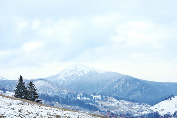 Fototapeta na wymiar Winter landscape with mountain village near conifer forest