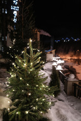 Beautiful conifer tree with glowing Christmas lights in snow drift on street. Winter holiday