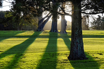 Golf course in Auckland, New Zealand