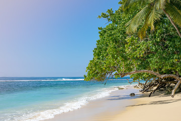 Tropical beach paradise