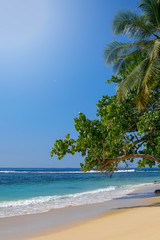 Tropical beach paradise