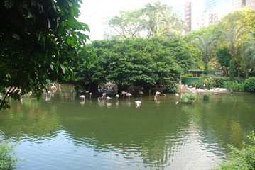 Hong Kong. Koolun park