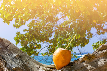 Selective focuse king coconut