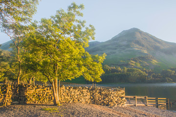 Obraz premium Beautiful landscape of Cumbria, Uk.Tree, stone wall, lake and mountain lit by afternoon light.