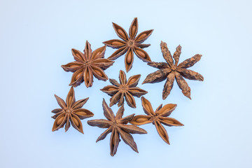 Star anise spice fruits and seeds 