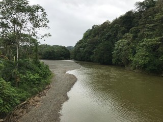 Fototapeta na wymiar rios de la selva