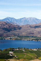 Osoyoos Lake Vineyard