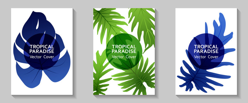 Tropical paradise leaf vector cover layout.