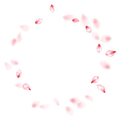 Pink sakura flower flying petals isolated on white vector background.