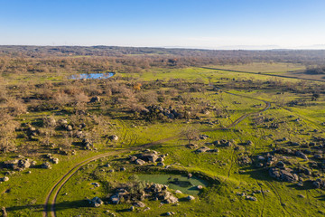 An aerial view of the amazing "Dehesa Extremeña" is what we found at Extremadura region outdoors, grassfields, lagoons, oaks and lot of cow cattle in the farmland fields of Spain countryside