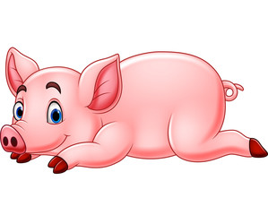 Cartoon funny pig