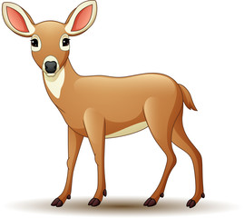 Cartoon deer isolated on white background