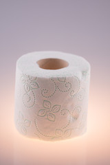 White roll toilet paper,wc